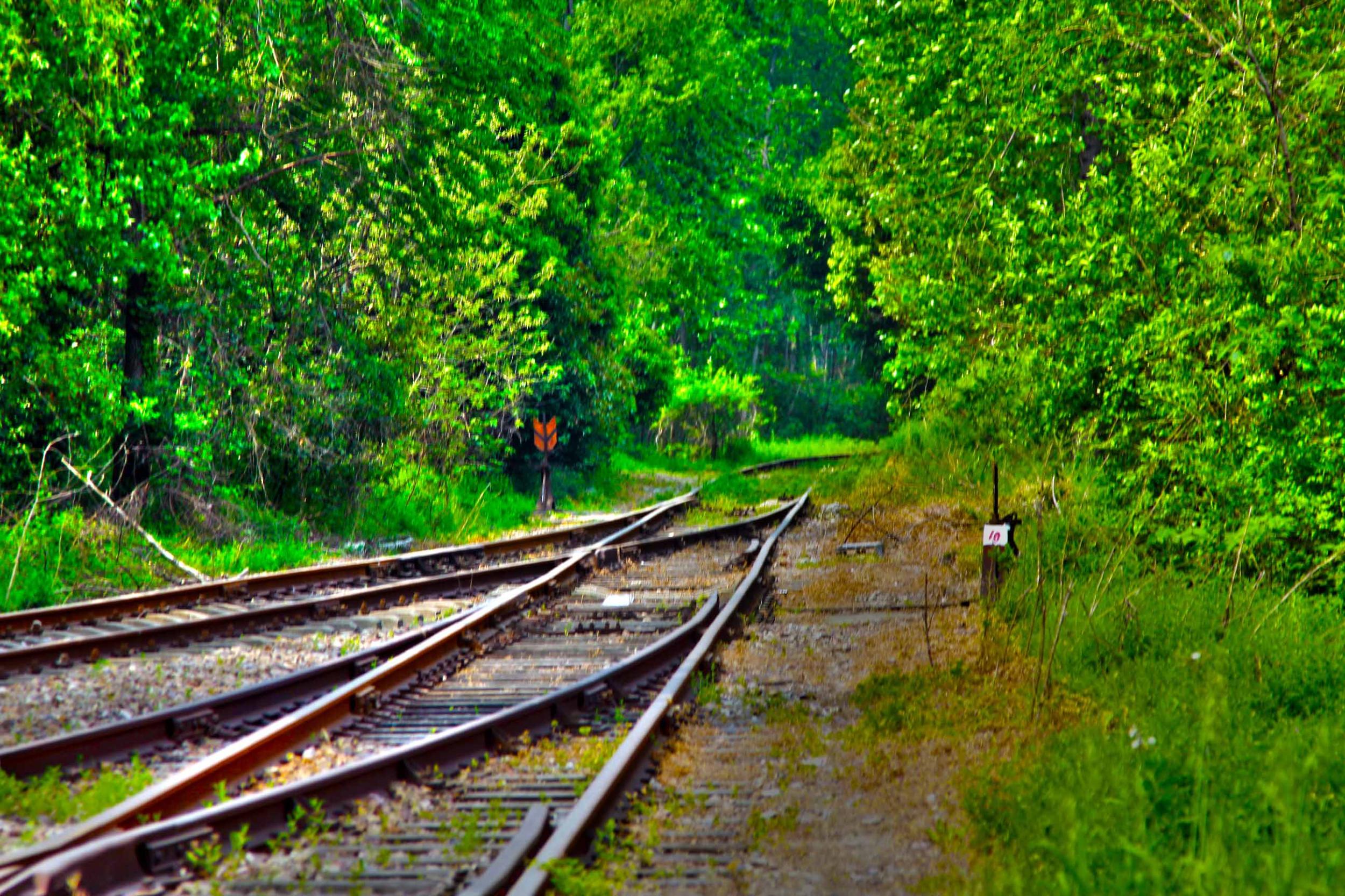 我省今年年內(nèi)有4條鐵路線投入運(yùn)營(yíng)更多出行選擇！