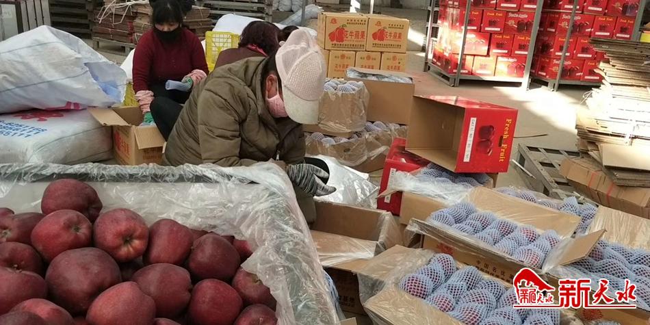 天水“花牛”最近有點“?！?>
        </a><em>天水“花?！弊罱悬c“?！?/em></li>
    <li><a  target=