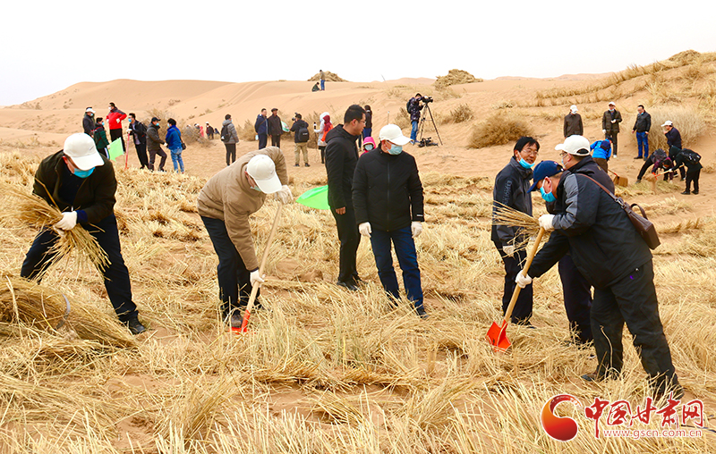 不“疫”樣的植樹節(jié)！甘肅省新聞戰(zhàn)線工作者攜手播綠“八步沙”（圖+視頻）