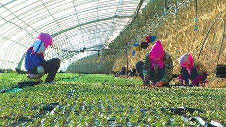 【抓實抓細疫情防控 精準推進復工復產】解難題 穩(wěn)就業(yè) 保生產 促發(fā)展 ——永昌縣多舉措助推企業(yè)復工復產