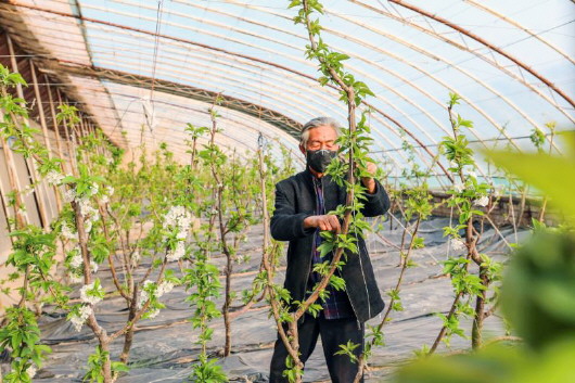 銅城復(fù)蘇：春光明媚，邀你共賞芳華（組圖）