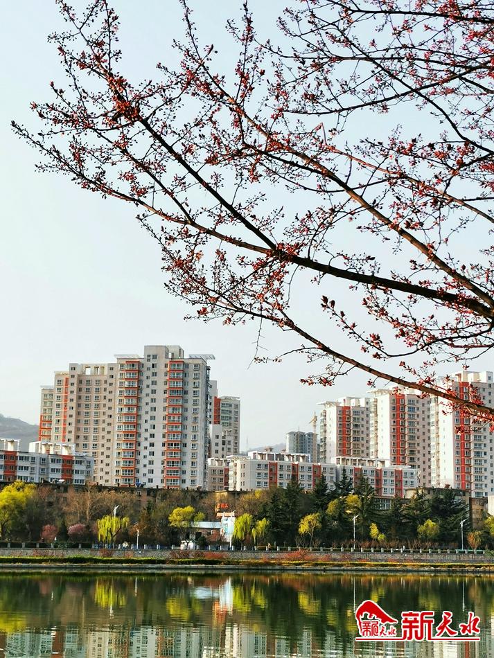 春天，古城天水的十個(gè)美麗瞬間