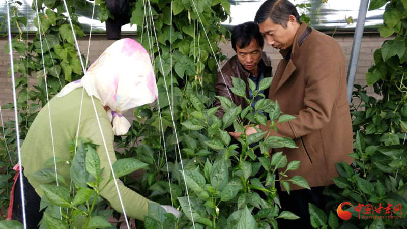 做優(yōu)科技服務 助力鄉(xiāng)村振興 敦煌市選派二百余名科技特派員下基層