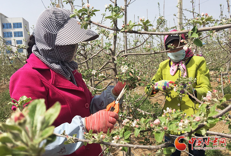【甘肅省決戰(zhàn)決勝脫貧攻堅(jiān)】靈臺模式：盤活勞務(wù)內(nèi)生動力 助力脫貧攻堅(jiān)之戰(zhàn)（圖）