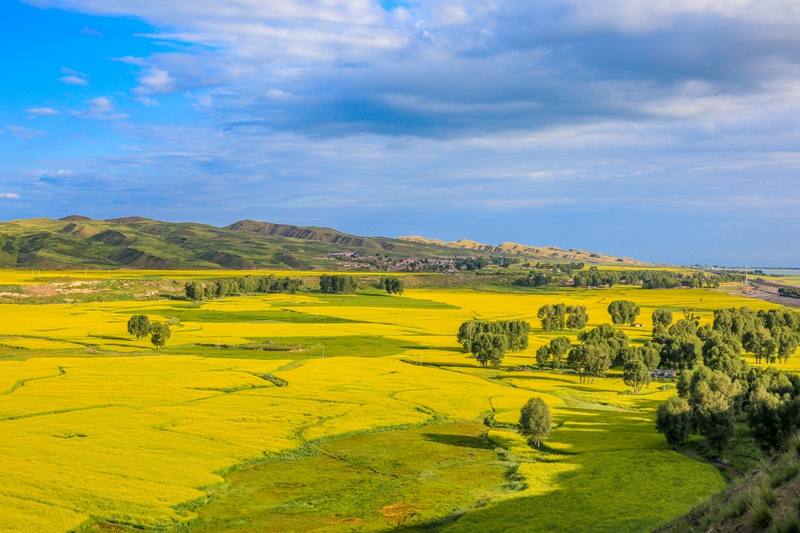 創(chuàng)意海報(bào)丨甘肅的美，你來了才知道