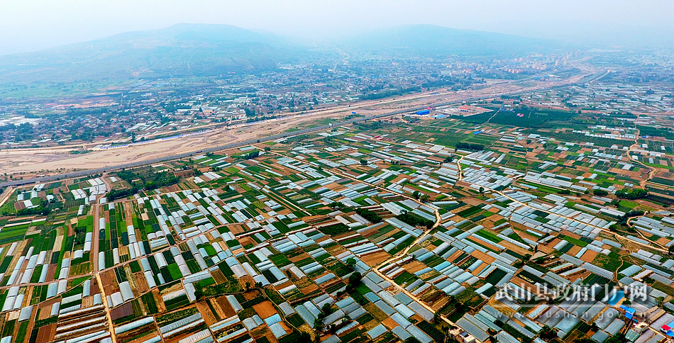 【為民情懷】武山：加快促進(jìn)產(chǎn)業(yè)升級 實現(xiàn)縣域經(jīng)濟(jì)發(fā)展與民生福祉互動共贏