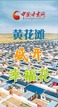 【跟著總書記看甘肅】長(zhǎng)圖|武威黃花灘盛開幸?；?