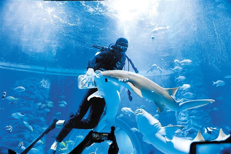 蘭州海洋公園 金昌火星1號基地 這個暑假我們“上天入?！?>
        </a><em>蘭州海洋公園 金昌火星1號基地 這個暑假我們“上天入海”</em></li>
    <li><a  target=