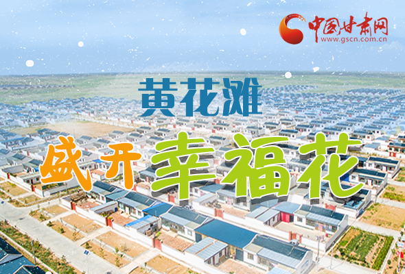 【跟著總書記看甘肅】長(zhǎng)圖|武威黃花灘盛開幸?；?