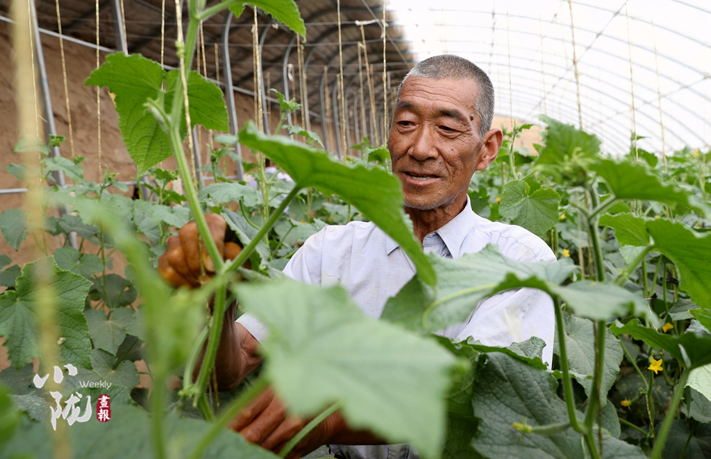 【小隴畫報(bào)·100期】筑夢黃花灘：老照片里映過往 新生活中蘊(yùn)未來