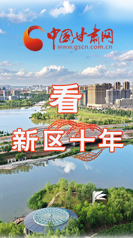 圖解|崛起！新區(qū)十年