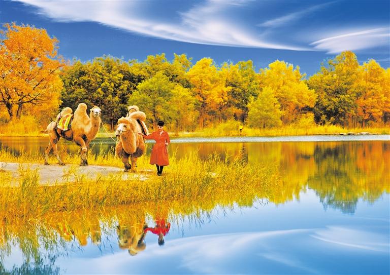 國慶長假，去金塔遇見最美胡楊