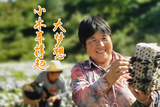 海報(bào)丨他們，乘“豐”破浪！