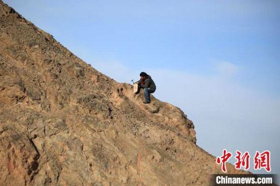 圖為敦煌“80后”畫家張杰龍在敦煌三危山里采集礦石顏料。(資料圖)受訪者供圖