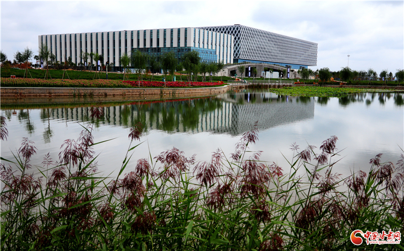 【十年巨變 看新區(qū)成就】生態(tài)環(huán)境保護(hù)工作多點開花