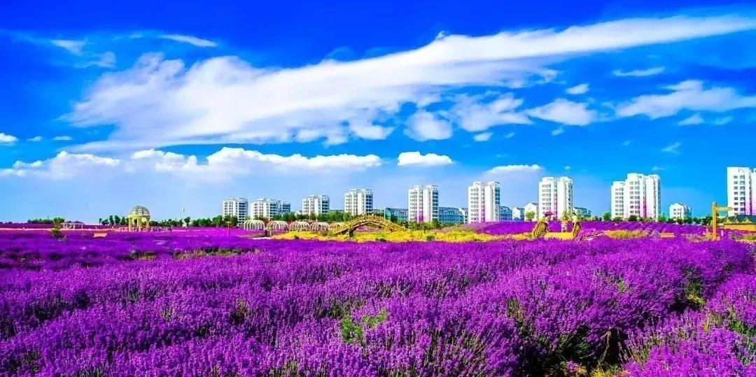 喜訊！金昌蟬聯(lián)全國(guó)文明城市