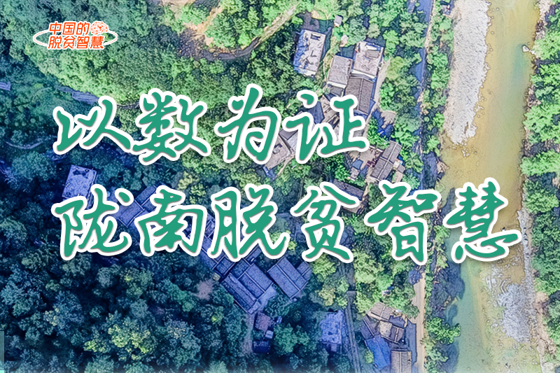 【中國的脫貧智慧】以數(shù)為證！隴南脫貧智慧來了！