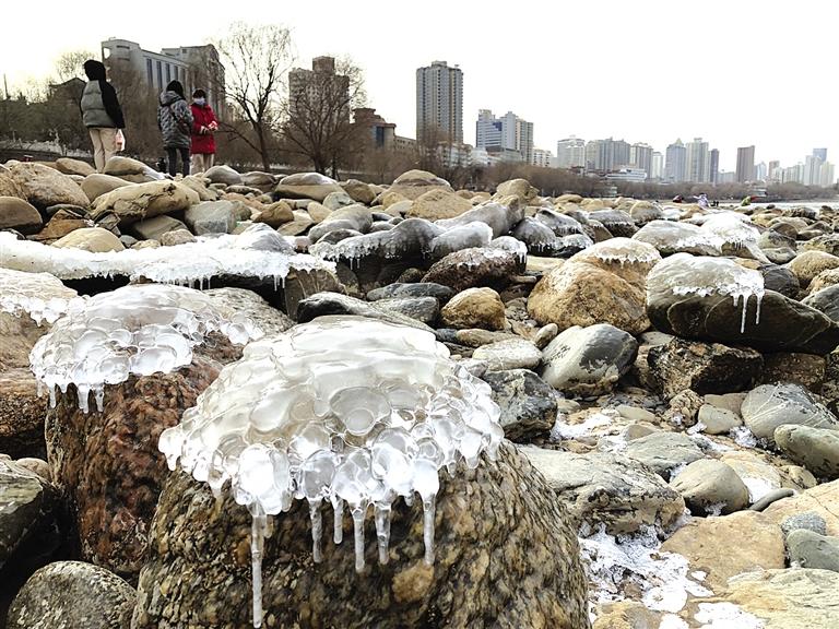 蘭州：水母上河灘？