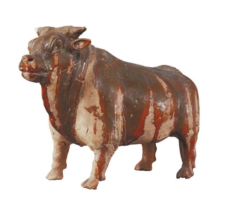 打開眼界丨牛年看牛，越看越牛!