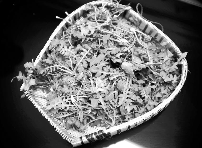 甘肅美食丨摘野菜，咬個(gè)“春”，讓味蕾清新起來