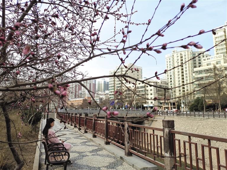 蘭州“第一朵花”開(kāi)了！