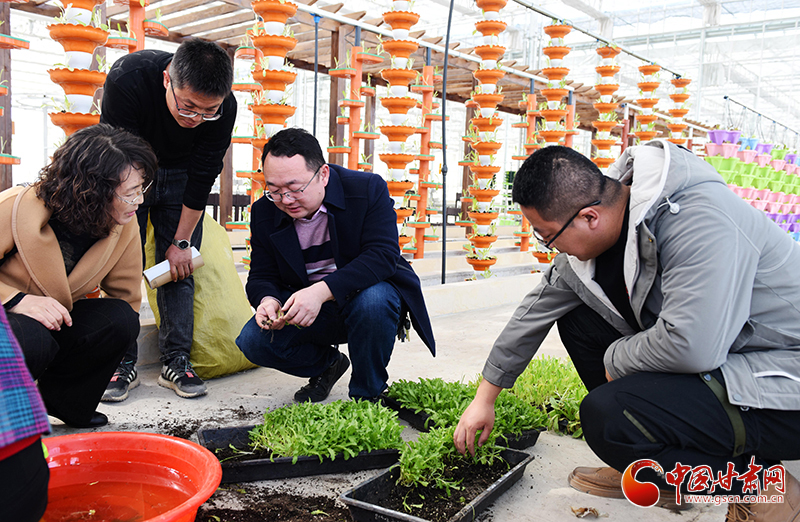 酒泉肅北：農(nóng)技專家田間“把脈”為春耕備耕“開(kāi)良方”