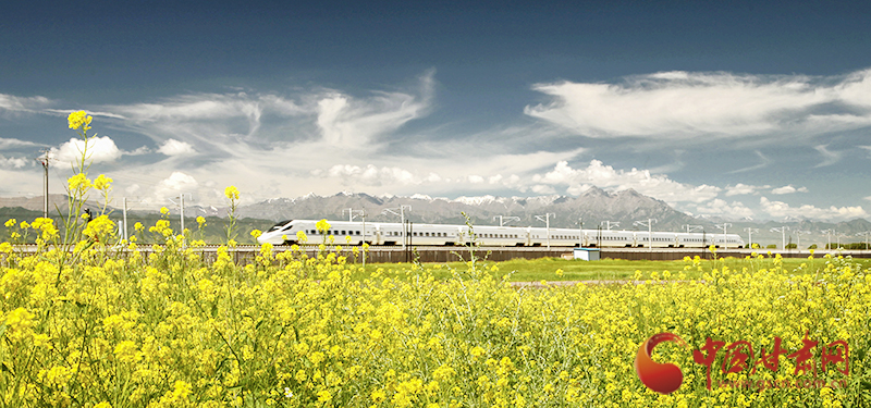 坐上火車“邂逅”春天，你可以這樣享“鐵路游”