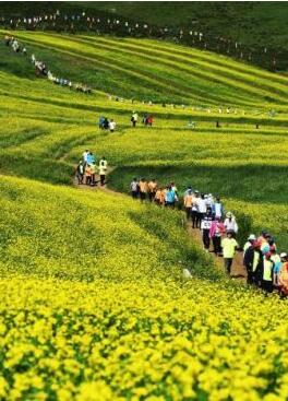 甘肅明確農(nóng)民進城落戶:不以退出承包地、林地等為條件