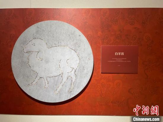 圖為展覽現(xiàn)場(chǎng)?！〗瓧顭?攝