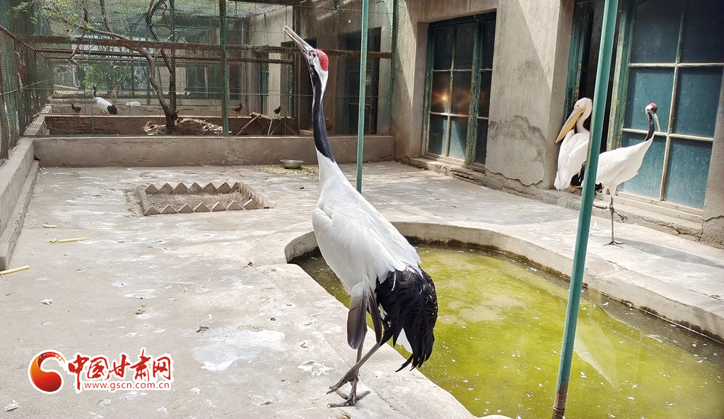 蘭州公安提醒市民：非緊急非必要，不出境