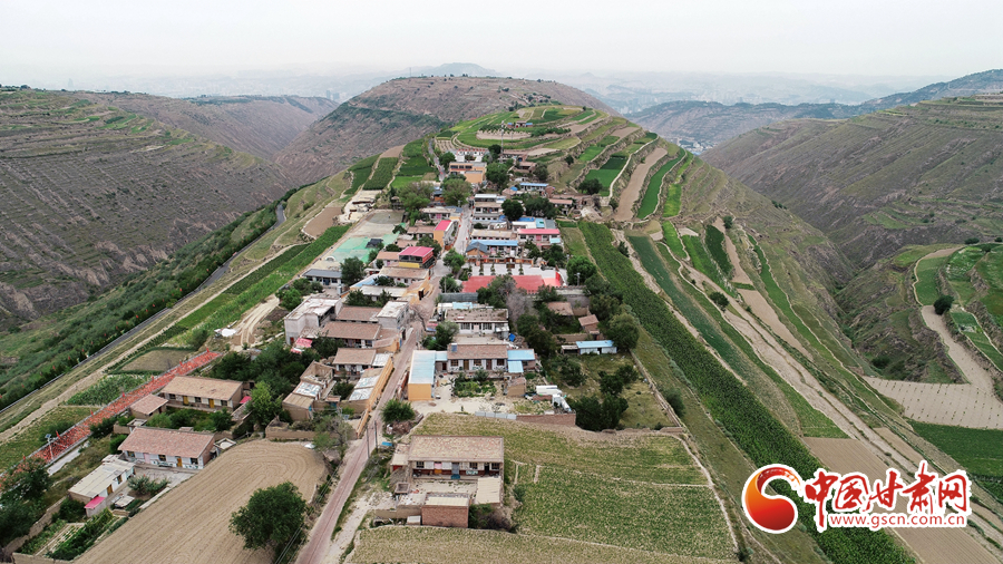 蘭州市政務(wù)服務(wù)中心844項(xiàng)政務(wù)服務(wù)事項(xiàng)恢復(fù)線下辦理