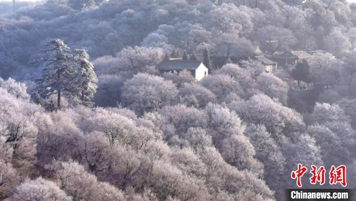 圖為霧凇美景?！⌒煺袢A 攝
