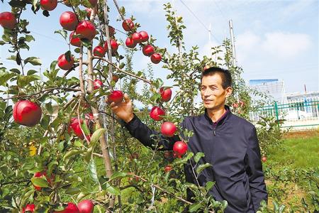 產(chǎn)業(yè)興 鄉(xiāng)村美 農(nóng)民樂(lè)——深耕“三農(nóng)”繪就鄉(xiāng)村振興新畫卷