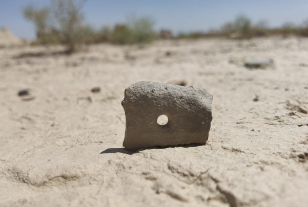 插圖1：河西走廊上遺存的古陶片。攝影：陳曉斌。拍攝日期：2020年6月。