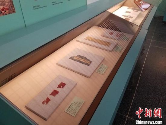 圖為展覽現(xiàn)場?！《鼗脱芯吭汗﹫D