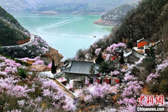 甘肅平?jīng)鍪惺侵袊鴥?yōu)秀旅游城市。圖為平?jīng)鲠轻忌较率锾一ㄊ㈤_。(資料圖) 平?jīng)鍪形麄鞑抗﹫D