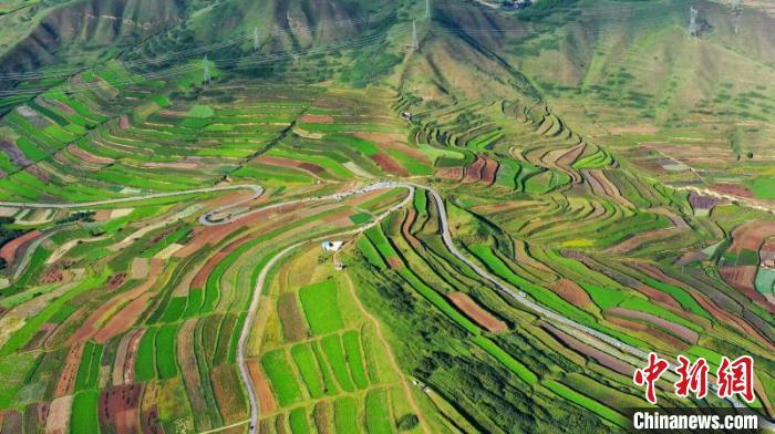 秋日里，榆中縣馬坡鄉(xiāng)千畝梯田，不同農(nóng)作物漸趨成熟，呈現(xiàn)出多種色彩，宛若大地的“調(diào)色盤”?！圆?攝