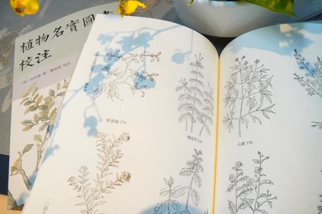 《植物名實(shí)圖考校注》內(nèi)頁。圖片來源：中華書局供圖
