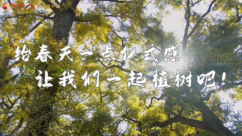 短視頻|給春天一點(diǎn)儀式感，讓我們一起植樹吧！