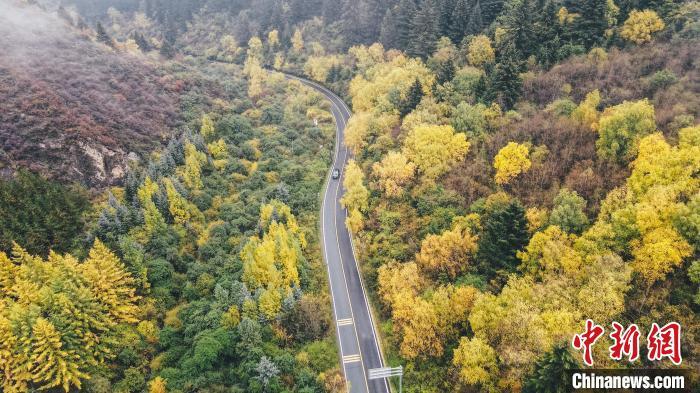 深秋，航拍位于蘭州市榆中縣的興隆山，景色如畫。金峯 攝</p>
<p>