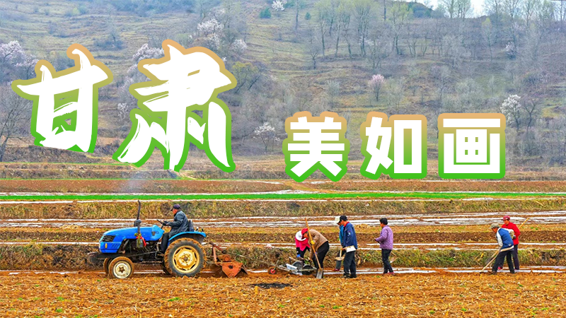 微海報(bào)|甘肅，美如畫