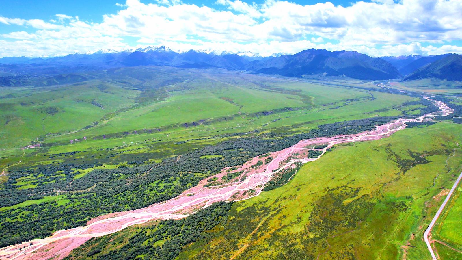 千年馬場綻新顏