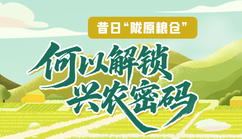 【理響中國·話隴點(diǎn)睛（3）】昔日“隴原糧倉”，何以解鎖“興農(nóng)密碼”