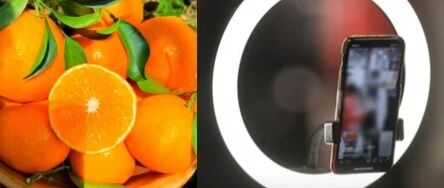 聲稱(chēng)“橙子提高免疫力”、“悲情助農(nóng)”等類(lèi)案頻發(fā)，敲響各單位直播帶貨警鐘