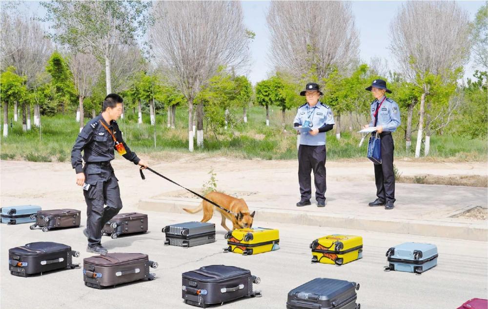 全省公安機關(guān)警犬技術(shù)比賽舉行